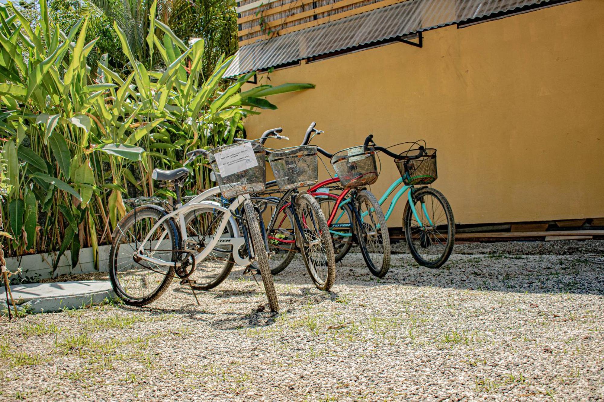 Playa Santa Teresa  Habitat Surf Glamp酒店 外观 照片